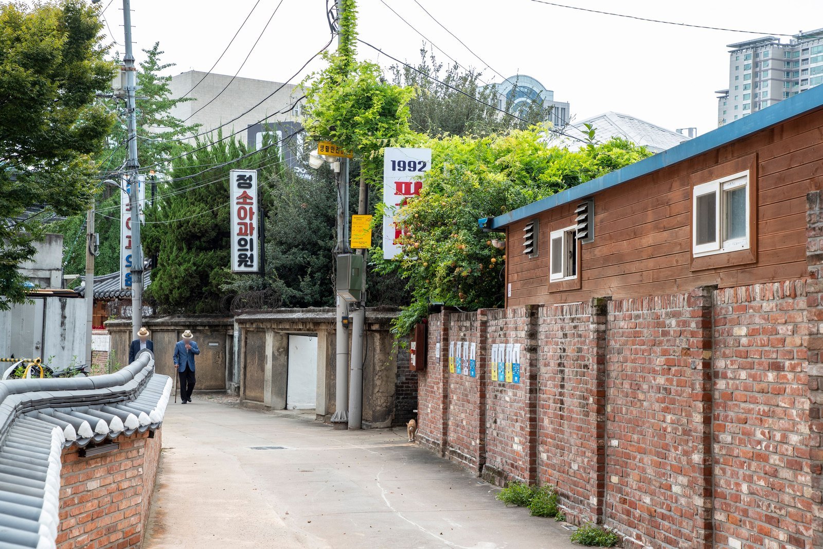 A walled lane on Daegu's modern-alley route