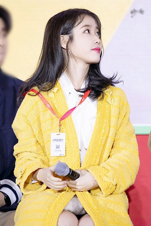 IU at a Hotel del Luna talk session at tvN's fan exhibition, December 2019.