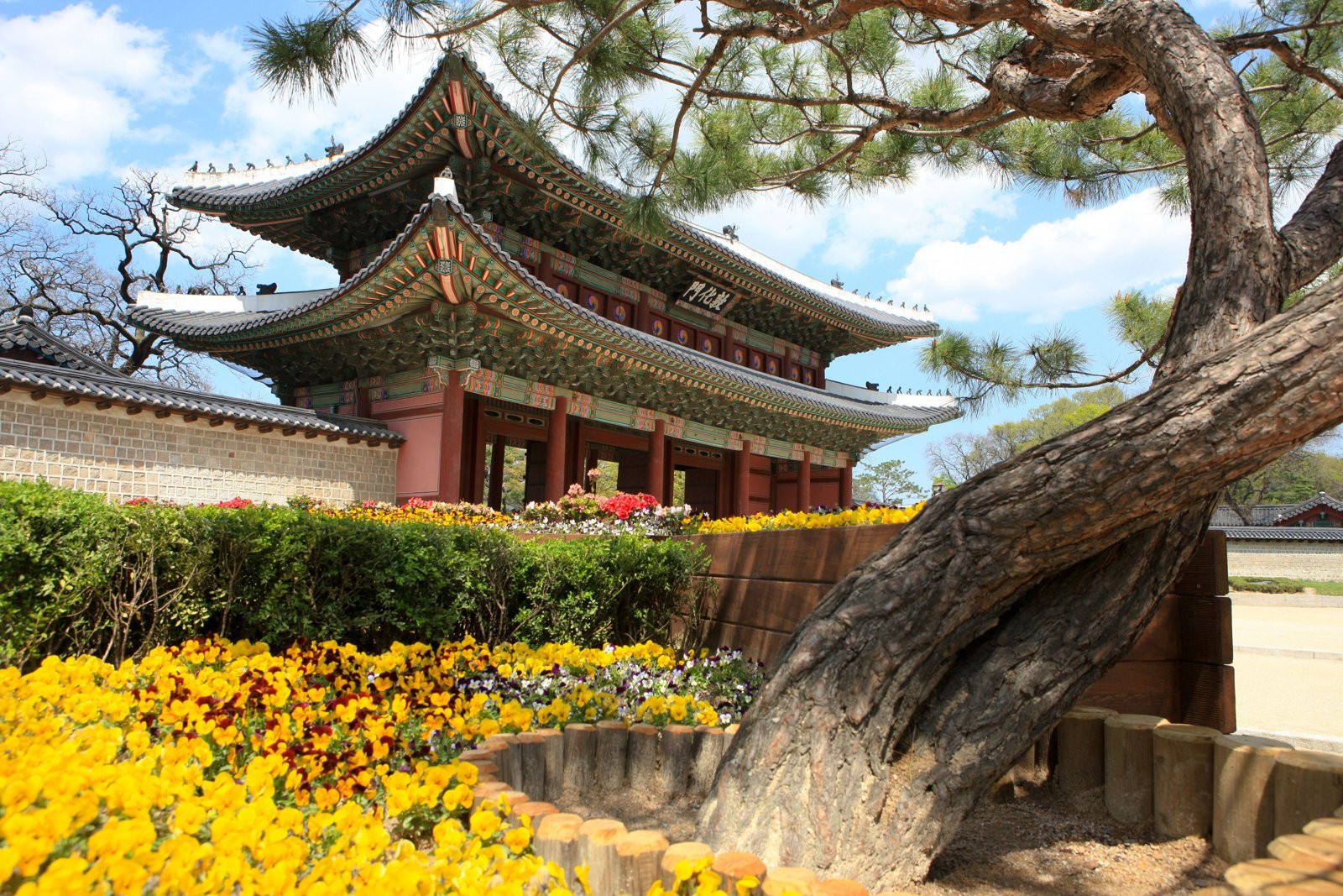 Donhwamun, the main gate of Changdeokgung. Walk up Donhwamun-ro from Jongno 3-ga and it appears straight ahead