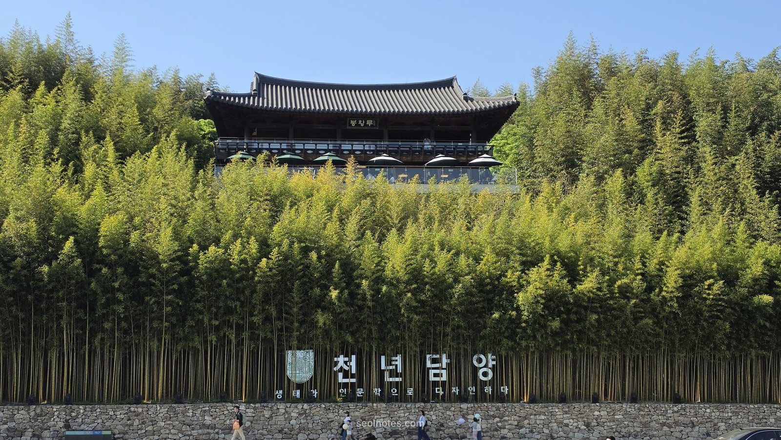 A hanok pavilion rising above a bamboo forest in Damyang