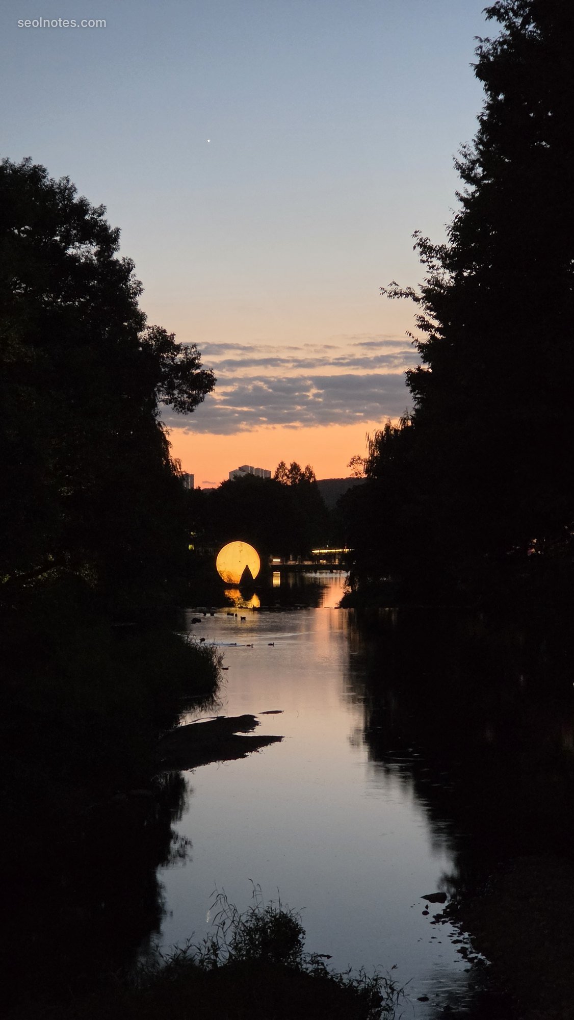 Sunset glowing between trees reflected in a still river