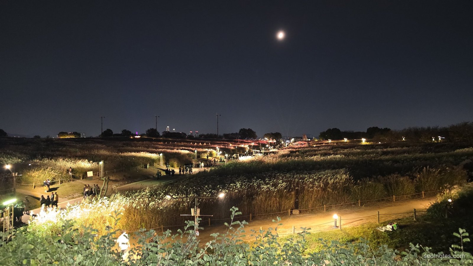 A lit village and fields at night under a small moon